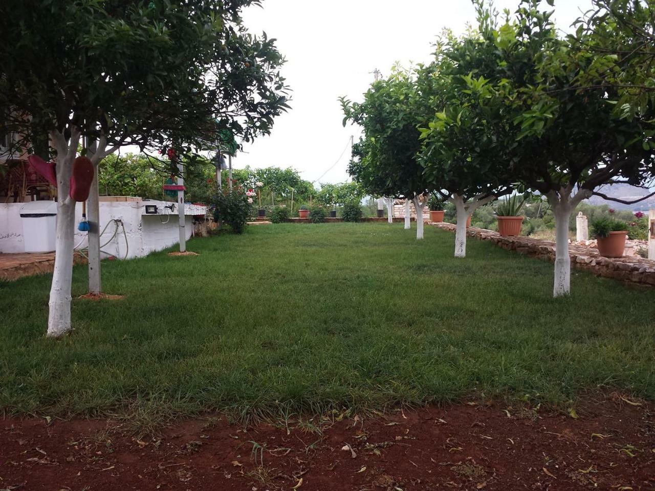 Vila Panorama Εξαμίλιο Εξωτερικό φωτογραφία
