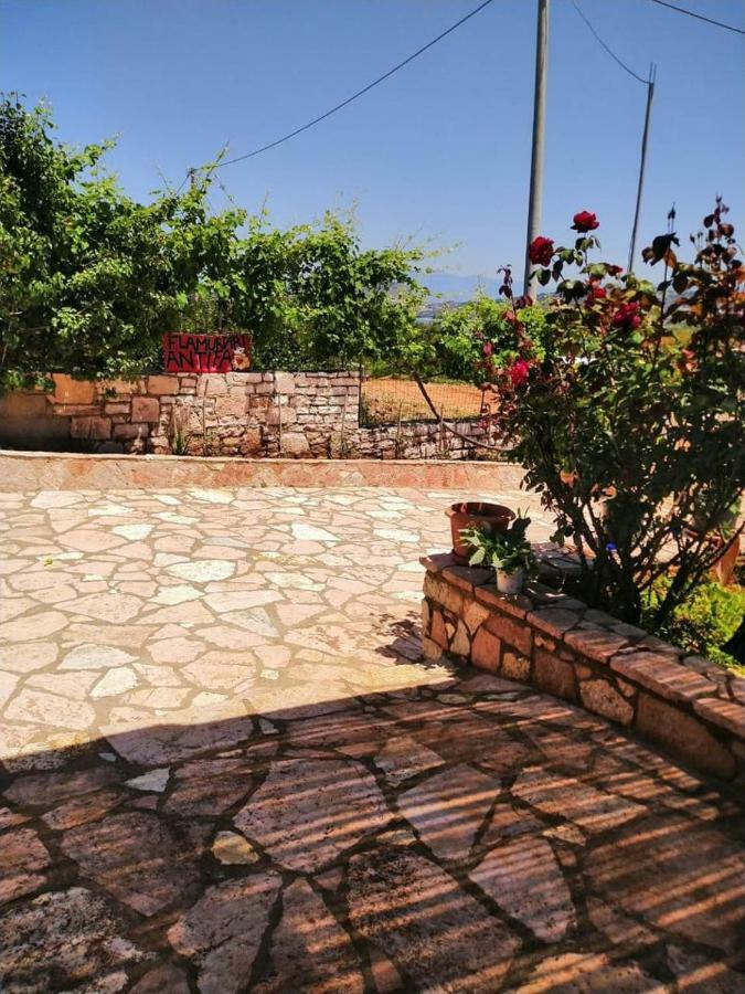 Vila Panorama Εξαμίλιο Εξωτερικό φωτογραφία